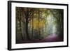 Brocéliande V-Philippe Manguin-Framed Photographic Print