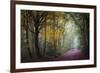 Brocéliande V-Philippe Manguin-Framed Photographic Print