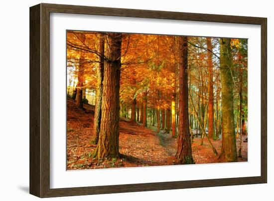 Brocéliande-Viviane Fedieu Daniel-Framed Photographic Print