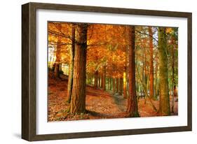 Brocéliande-Viviane Fedieu Daniel-Framed Photographic Print