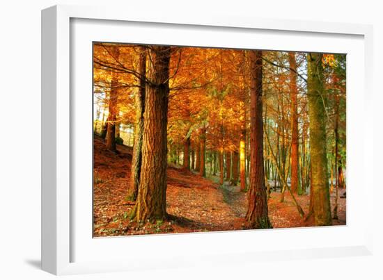 Brocéliande-Viviane Fedieu Daniel-Framed Photographic Print