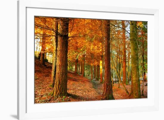 Brocéliande-Viviane Fedieu Daniel-Framed Photographic Print