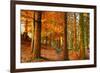 Brocéliande-Viviane Fedieu Daniel-Framed Photographic Print