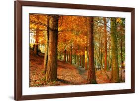 Brocéliande-Viviane Fedieu Daniel-Framed Photographic Print