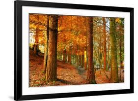 Brocéliande-Viviane Fedieu Daniel-Framed Photographic Print