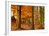 Brocéliande-Viviane Fedieu Daniel-Framed Photographic Print