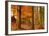 Brocéliande-Viviane Fedieu Daniel-Framed Photographic Print