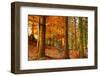 Brocéliande-Viviane Fedieu Daniel-Framed Premium Photographic Print