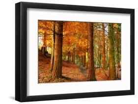 Brocéliande-Viviane Fedieu Daniel-Framed Premium Photographic Print