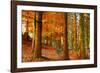 Brocéliande-Viviane Fedieu Daniel-Framed Photographic Print