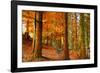 Brocéliande-Viviane Fedieu Daniel-Framed Photographic Print