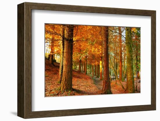 Brocéliande-Viviane Fedieu Daniel-Framed Photographic Print