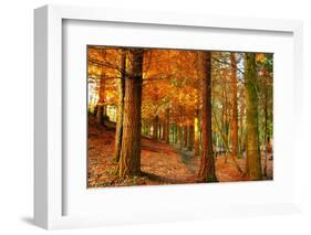 Brocéliande-Viviane Fedieu Daniel-Framed Photographic Print