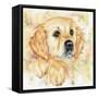 Brockie-Karen Middleton-Framed Stretched Canvas