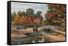 Brockley Water Splash, Brockenhurst-Alfred Robert Quinton-Framed Stretched Canvas