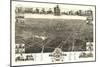 Brockton, Massachusetts - Panoramic Map-Lantern Press-Mounted Art Print