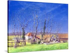 Brockwell Farm-Anthony Rule-Stretched Canvas