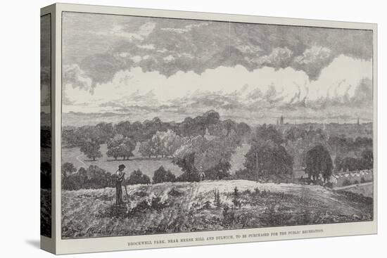 Brockwell Park, Near Herne Hill and Dulwich, to Be Purchased for the Public Recreation-Sir John Gilbert-Stretched Canvas