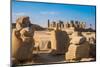 Broken bull column in foreground, Persepolis, UNESCO World Heritage Site, Iran, Middle East-James Strachan-Mounted Photographic Print