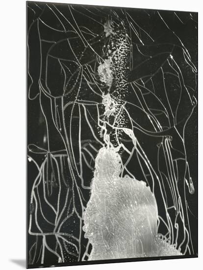 Broken Car Window, California, 1937-Brett Weston-Mounted Photographic Print