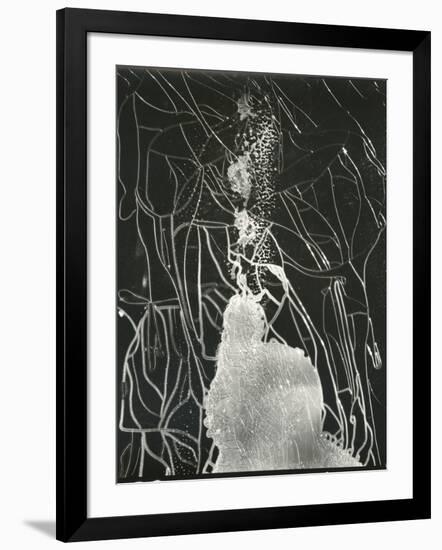 Broken Car Window, California, 1937-Brett Weston-Framed Photographic Print