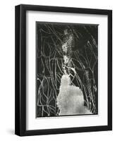 Broken Car Window, California, 1937-Brett Weston-Framed Photographic Print