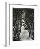 Broken Car Window, California, 1937-Brett Weston-Framed Photographic Print