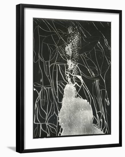 Broken Car Window, California, 1937-Brett Weston-Framed Photographic Print