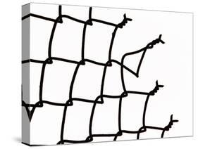 Broken Chain-Link Fence-null-Stretched Canvas