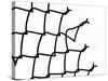 Broken Chain-Link Fence-null-Stretched Canvas