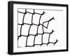 Broken Chain-Link Fence-null-Framed Photographic Print