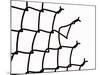 Broken Chain-Link Fence-null-Mounted Photographic Print