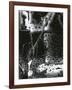 Broken Glass, 1953-Brett Weston-Framed Photographic Print