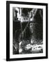 Broken Glass, 1953-Brett Weston-Framed Photographic Print