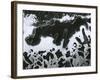 Broken Glass, 1954-Brett Weston-Framed Photographic Print