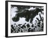 Broken Glass, 1954-Brett Weston-Framed Photographic Print