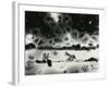 Broken Glass, 1954-Brett Weston-Framed Photographic Print