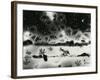 Broken Glass, 1954-Brett Weston-Framed Photographic Print