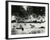 Broken Glass, 1954-Brett Weston-Framed Photographic Print