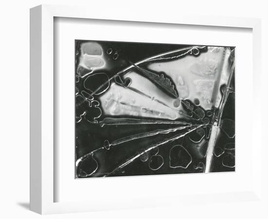 Broken Glass, 1954-Brett Weston-Framed Photographic Print