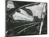 Broken Glass, 1954-Brett Weston-Mounted Photographic Print