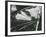 Broken Glass, 1954-Brett Weston-Framed Photographic Print