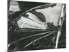 Broken Glass, 1954-Brett Weston-Mounted Photographic Print