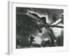 Broken Glass, 1955-Brett Weston-Framed Photographic Print