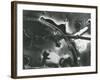 Broken Glass, 1955-Brett Weston-Framed Photographic Print