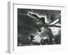 Broken Glass, 1955-Brett Weston-Framed Premium Photographic Print