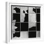 Broken Glass and Window, c. 1970-Brett Weston-Framed Photographic Print