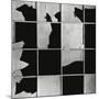 Broken Glass and Window, c. 1970-Brett Weston-Mounted Premium Photographic Print