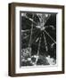 Broken Glass, c. 1955-Brett Weston-Framed Photographic Print