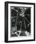 Broken Glass, c. 1955-Brett Weston-Framed Photographic Print